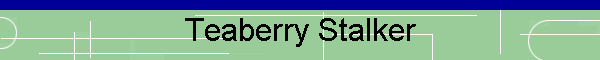 Teaberry Stalker