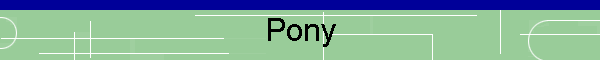 Pony