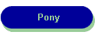 Pony