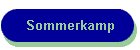 Sommerkamp