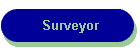 Surveyor